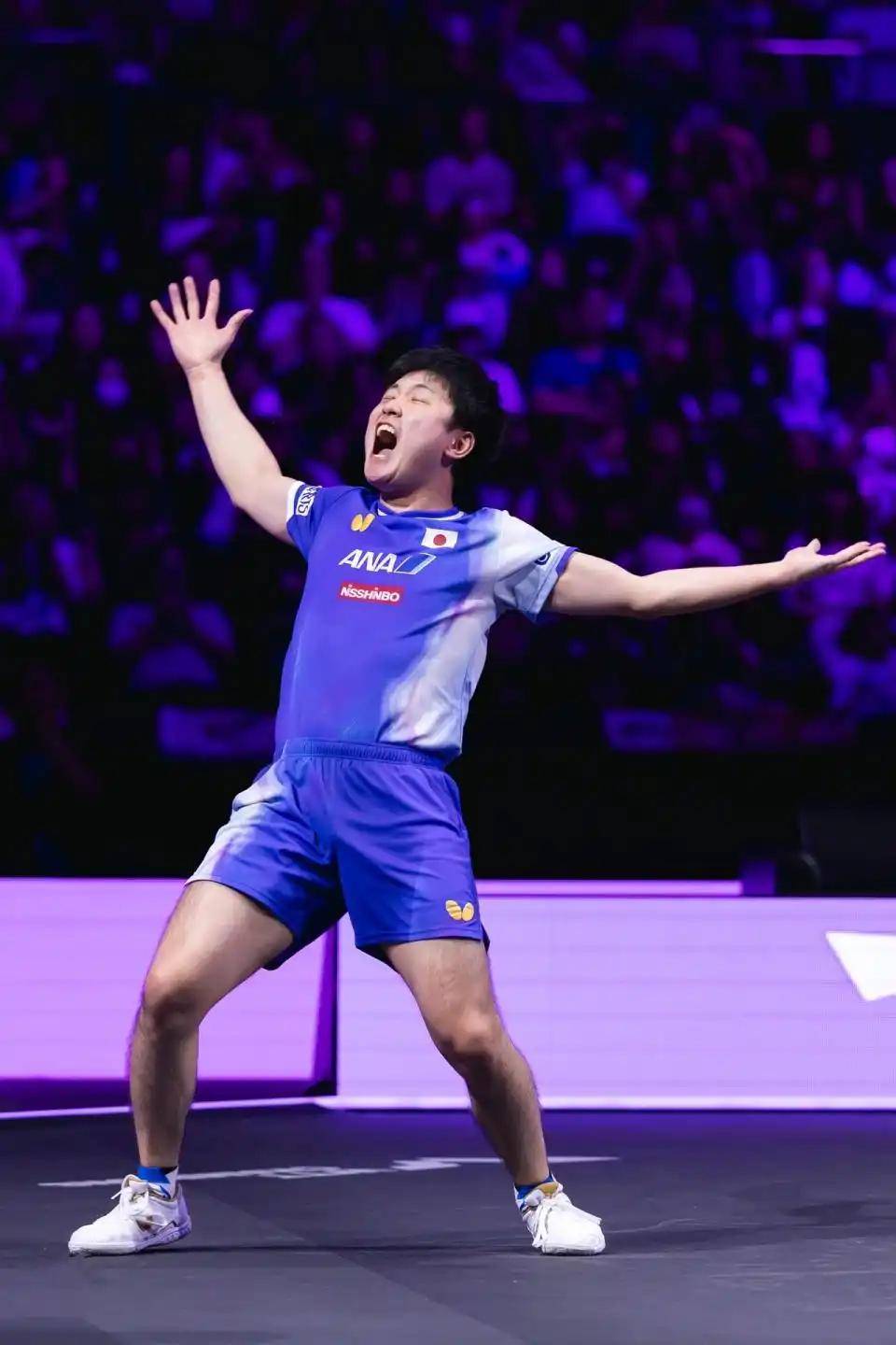 关于中国乒乓球队强势奥地利乒乓球队，张本智和绝境逆转的信息