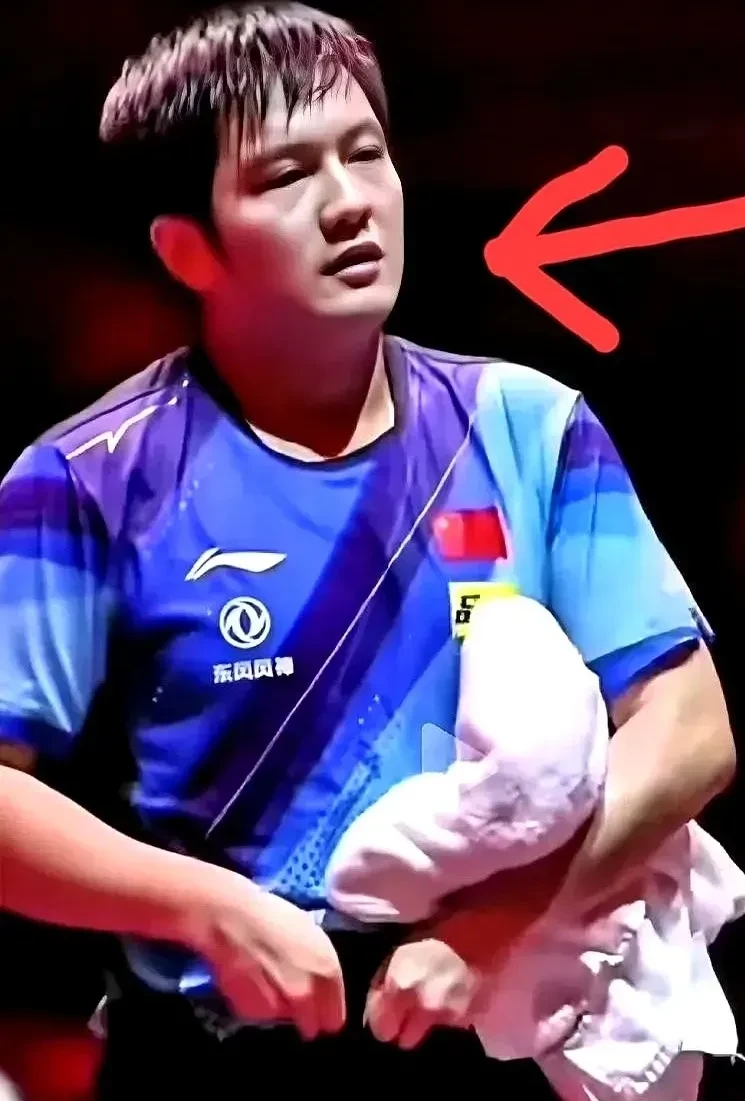 日本乒乓球队绝地反击中国乒乓球队，张继科送出助攻的简单介绍