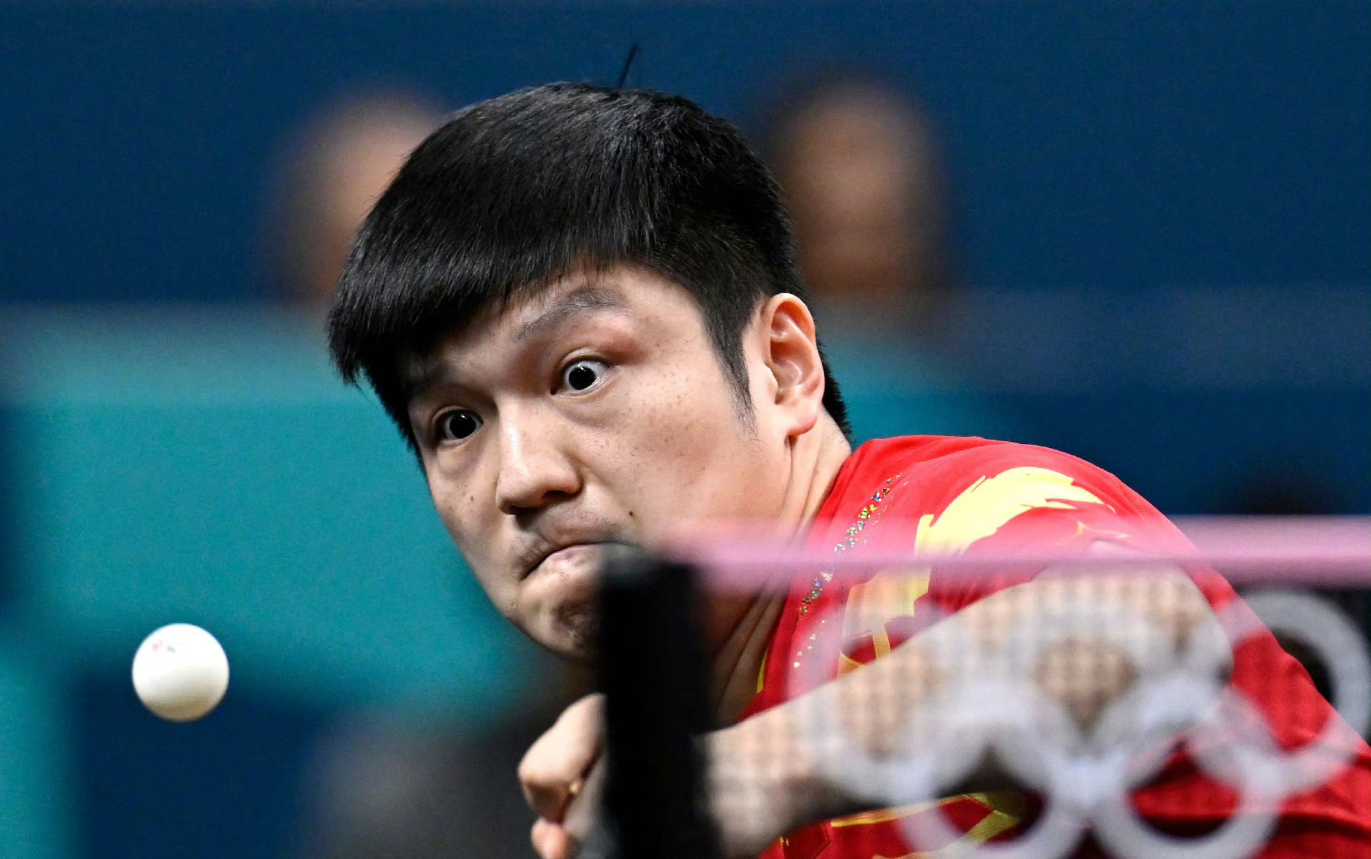 波兰乒乓球队逆转奥地利乒乓球队，樊振东高光表现的简单介绍