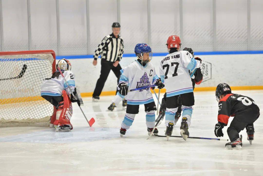 关于冰球热度飙升，网友热议不断的信息