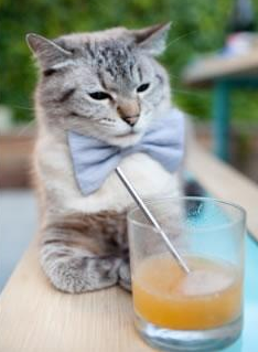 德布劳内手术刀斩乱麻,奥地利风暴席卷皇家社会!