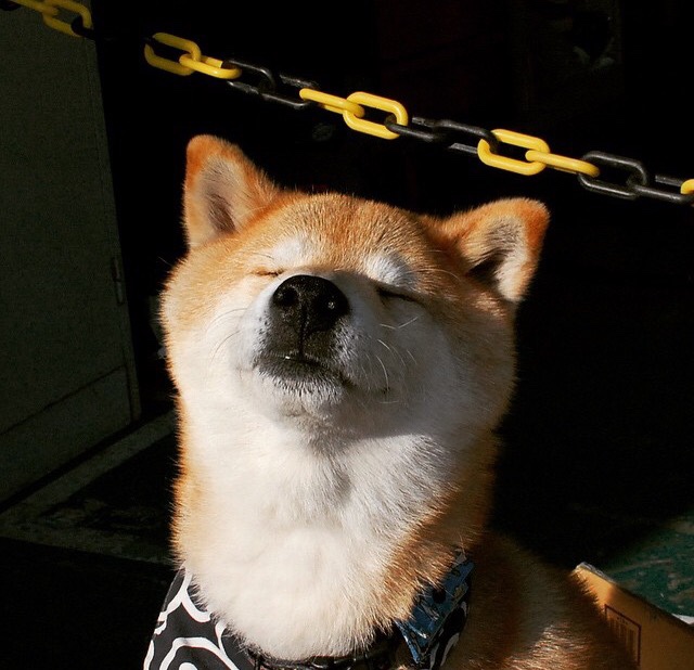 南北烽火，门迪一扑，点燃两个世界的呐喊