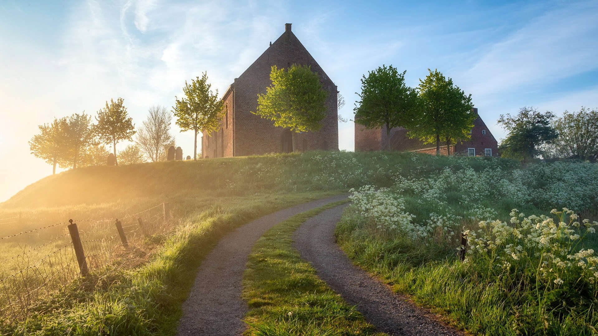 冰与火之歌，哈兰德爆发与突尼斯强韧背后的体育胜利密码