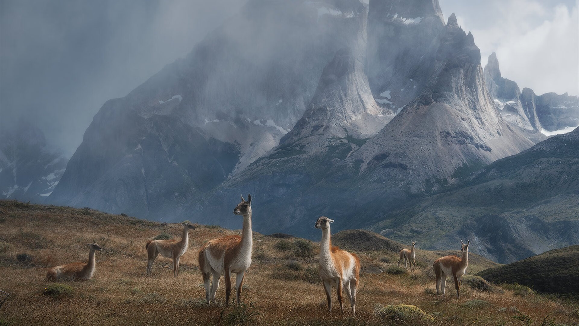 保罗末节救主湖人轻取浙江,大场面先生诠释冠军底蕴