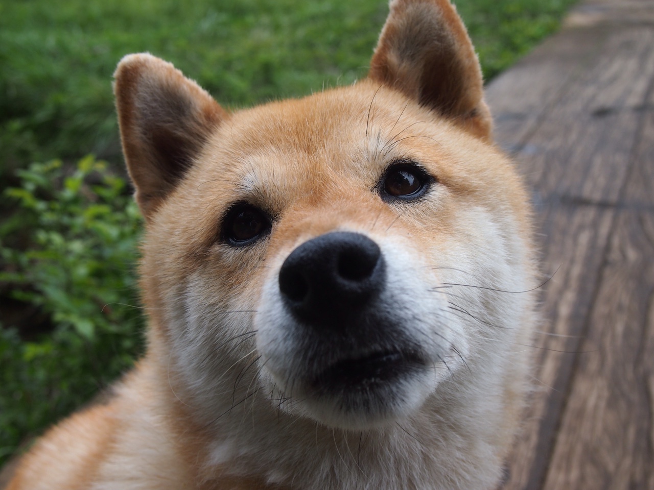 老兵的答案,保罗关键回合不手软,76人力克雄鹿锁定胜局