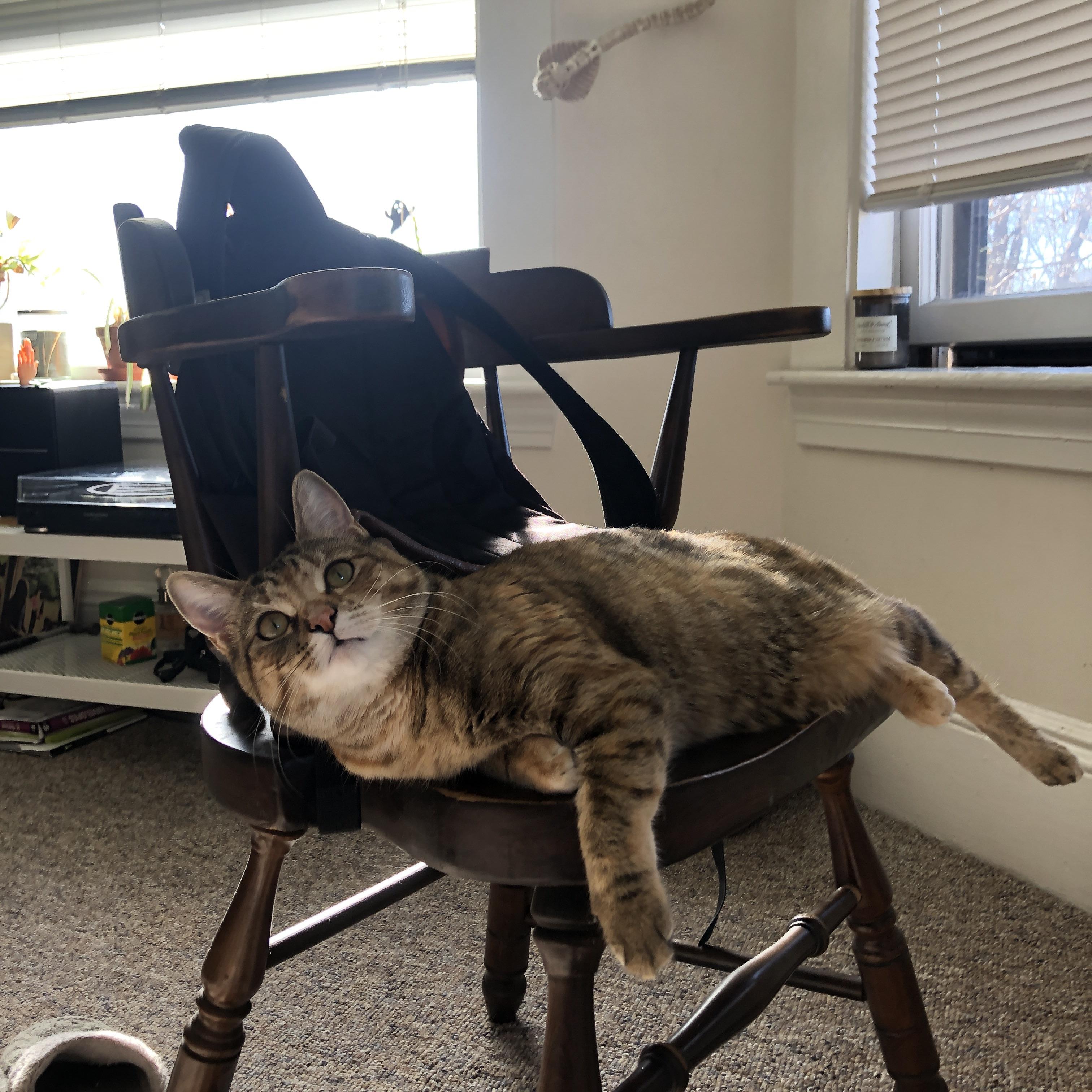 璀璨夜,美加墨世界杯焦点战与快船加时逆转骑士的激情交响