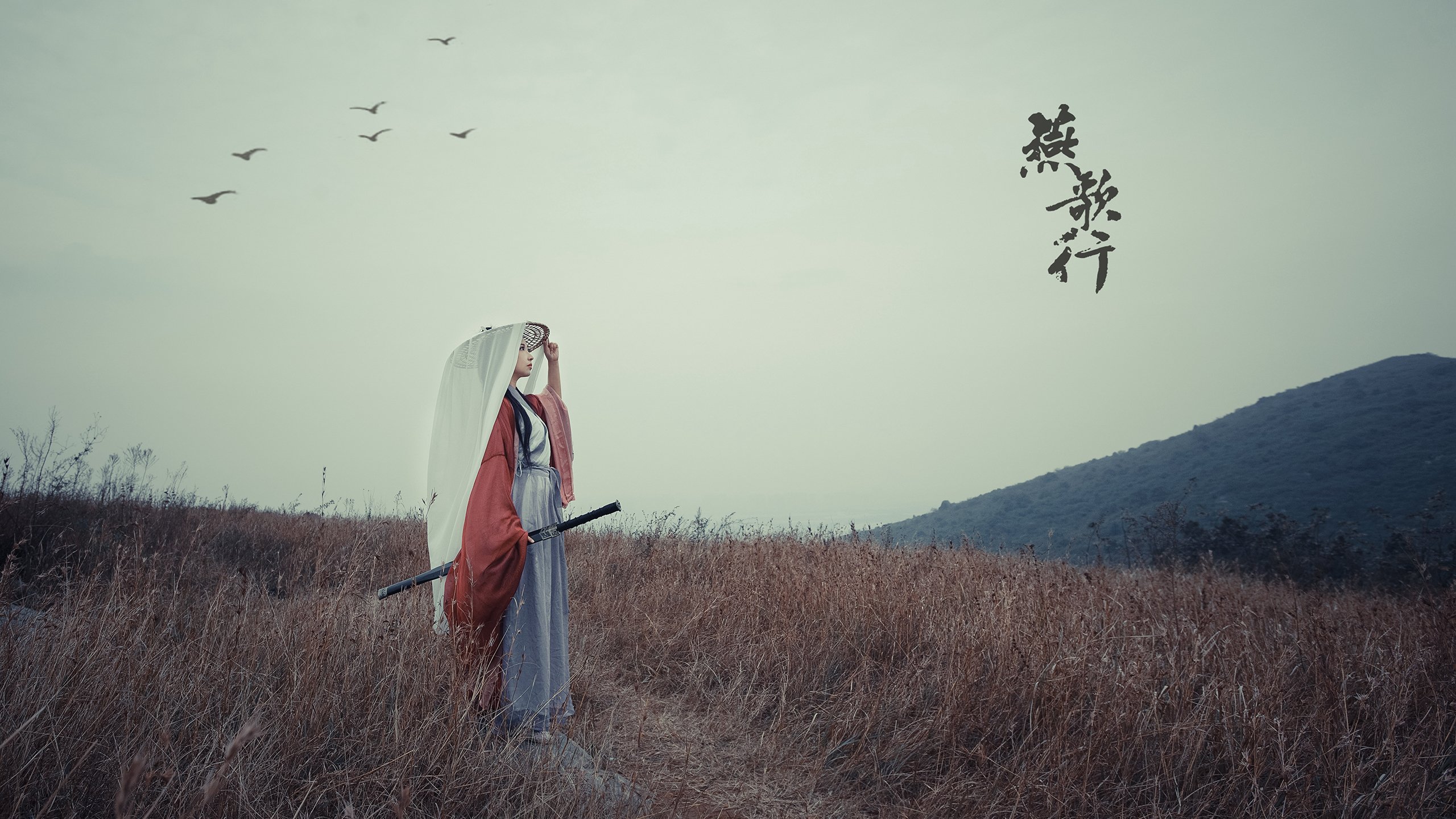 南美风暴,当铁壁防线遭遇火热核心—厄瓜多尔与委内瑞拉的狭路相逢