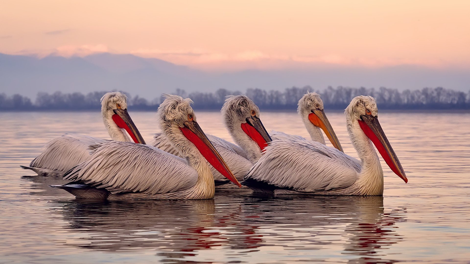 欧冠级攻防盛宴！公牛提前终结艺术让步行者悬念夜崩盘