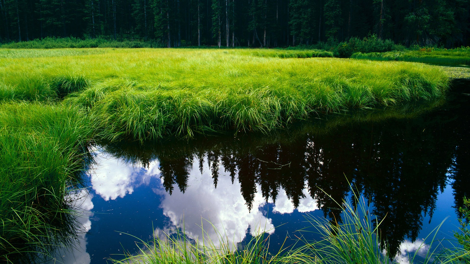 荣耀的哨音，2026世界杯之夜，福登关键时刻站出来