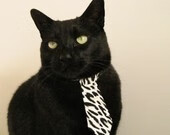 速度与格局，F1赛季轰鸣启航，马刺军团踏平费城