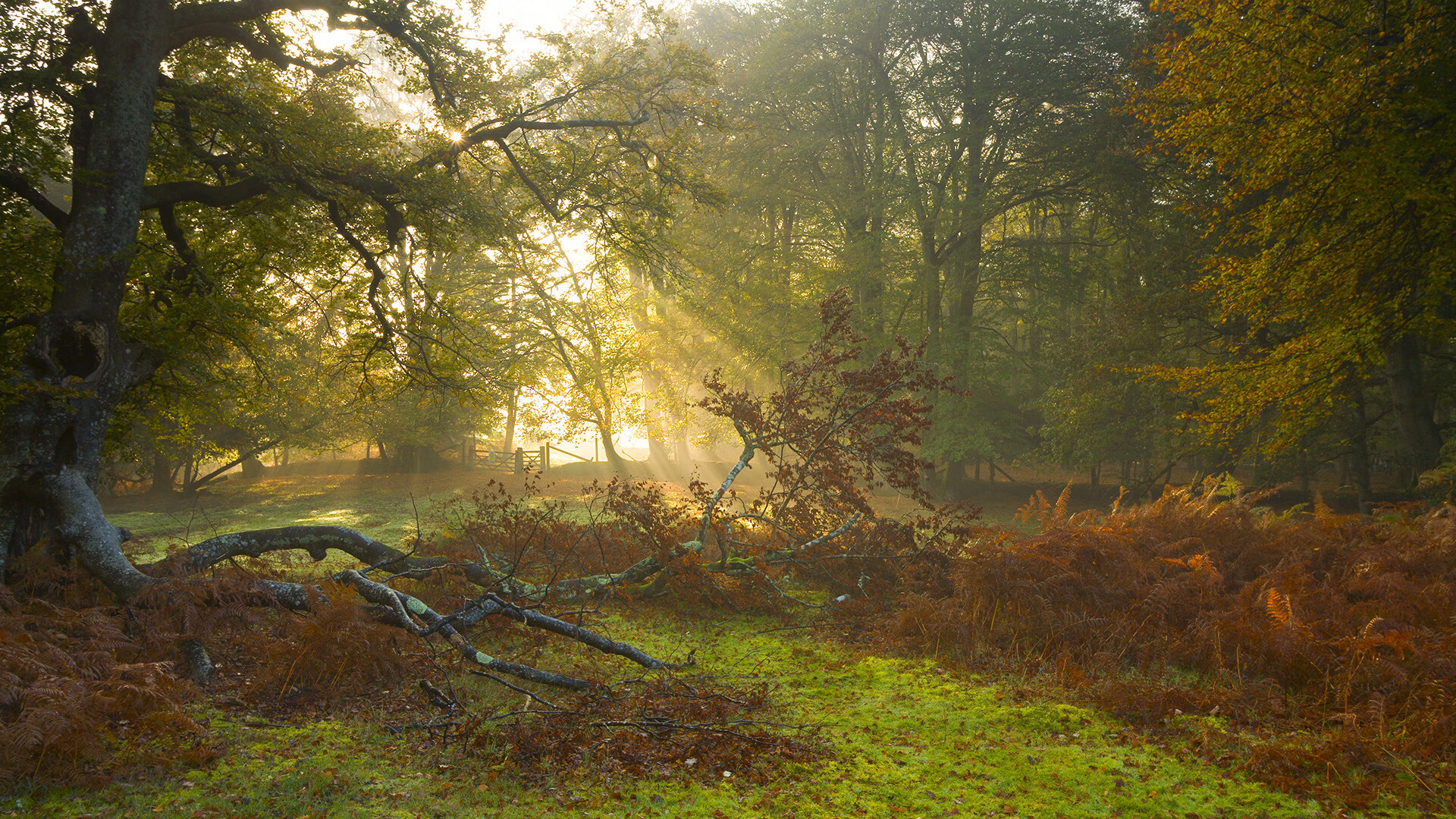 西甲国家德比之夜,斯通斯的冠军级表现