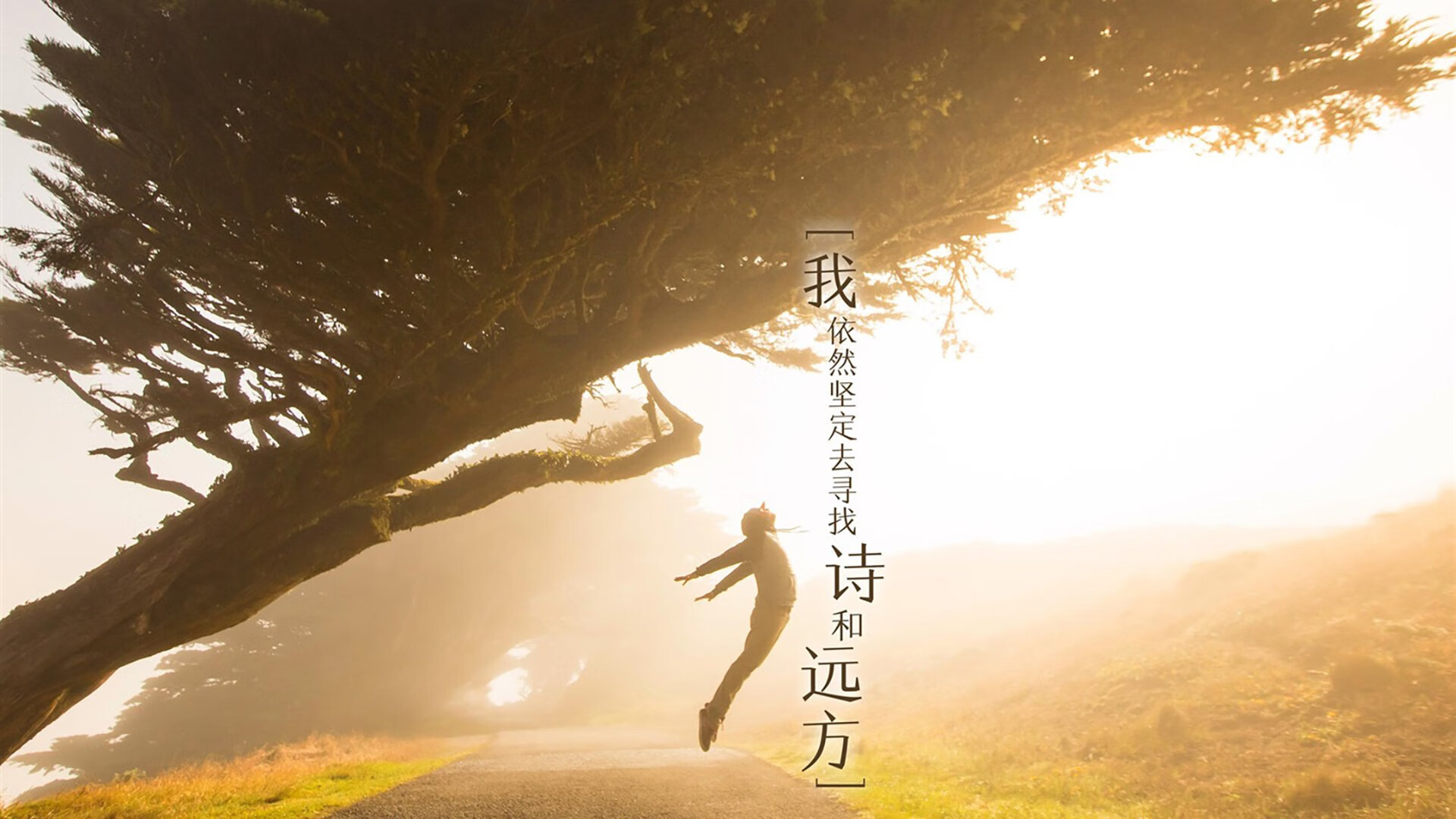 绝杀与统治，魔术逆转夜，爱德华兹定义巨星时刻